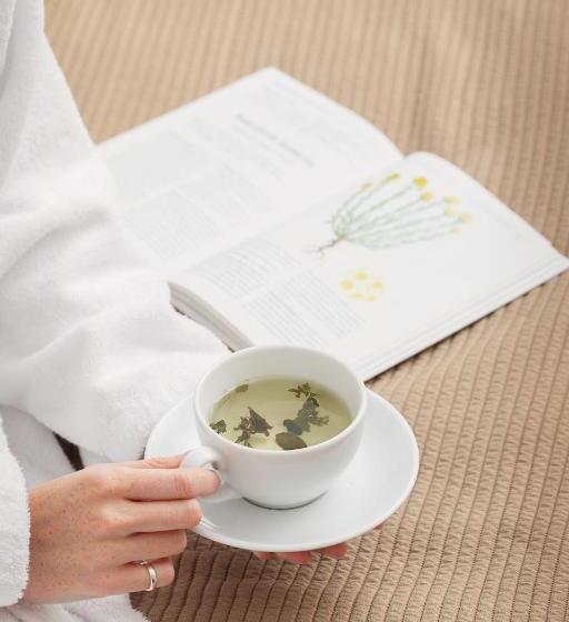 اتاق استاندارد با دسترسی به اسپا, Goda Hotel & Spa