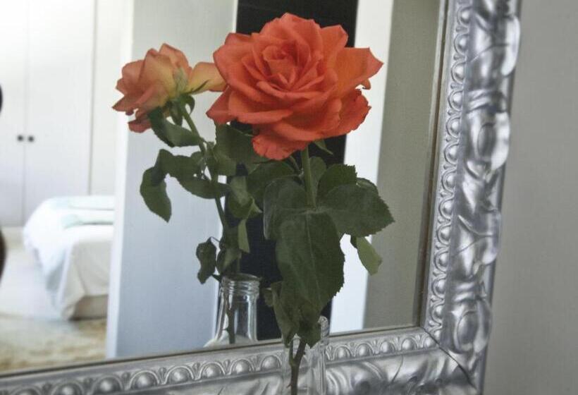 스탠다드 룸, Long Street Boutique