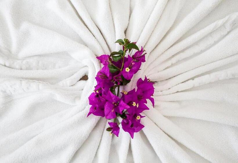 اتاق لوکس با چشم‌انداز باغ, Pousada Casa Buzios