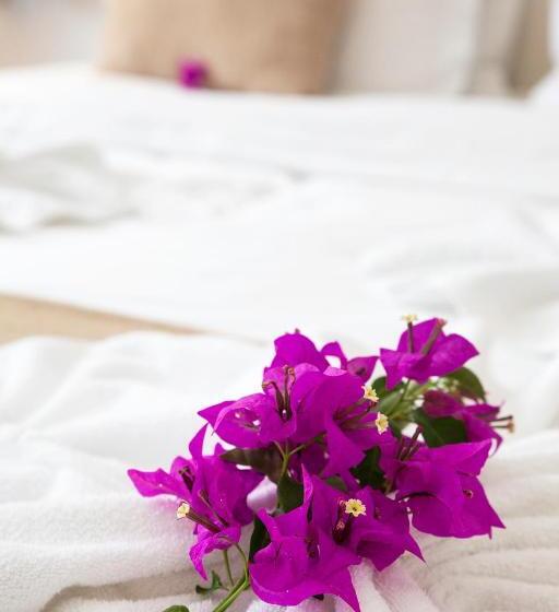 اتاق لوکس با چشم‌انداز باغ, Pousada Casa Buzios