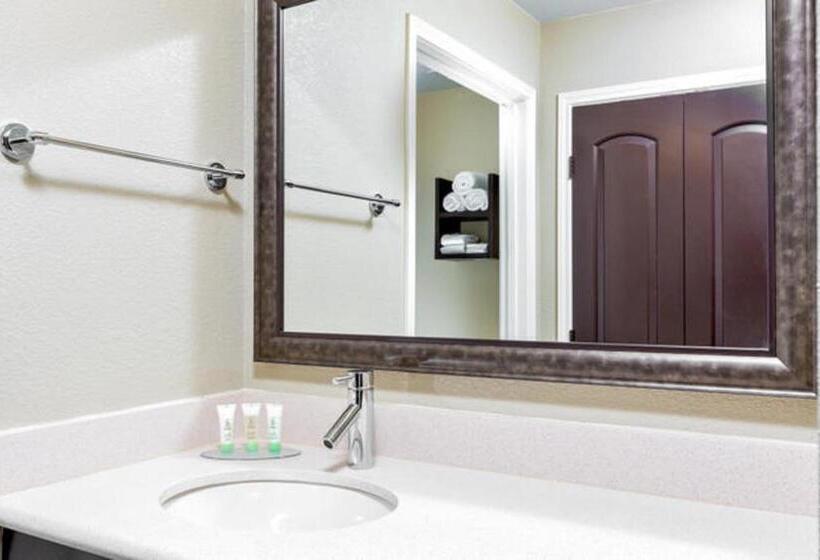 جناح لذوى الاحتياجات الخاصة, Staybridge Suites College Station, An Ihg