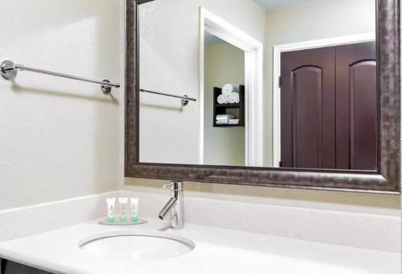 身障者適用スイートルーム, Staybridge Suites College Station, An Ihg