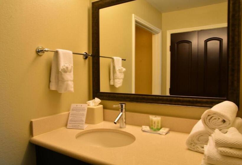 جناح لذوى الاحتياجات الخاصة, Staybridge Suites College Station, An Ihg