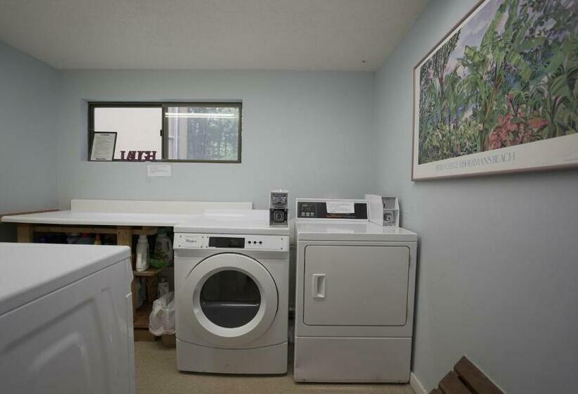 דירת חדר, Sugar Run 24