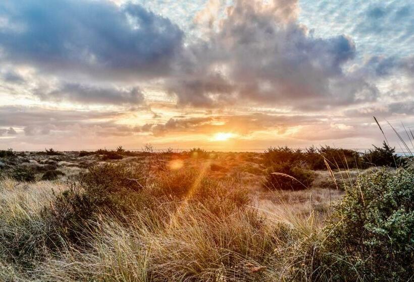 חדר סטודיו סטנדרד, Berry Glen Redwood Park Loft