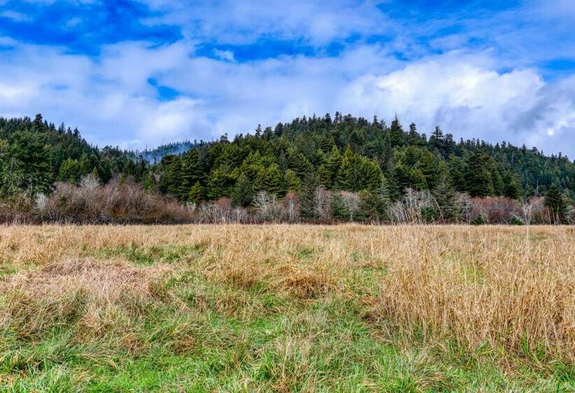 חדר סטודיו סטנדרד, Berry Glen Redwood Park Loft