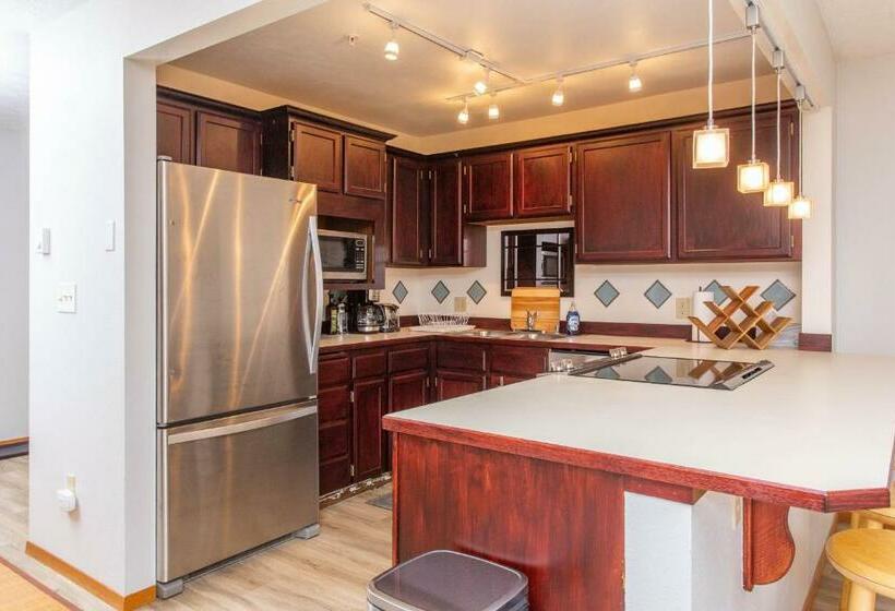 شقة غرفة واحدة, Timberline 208