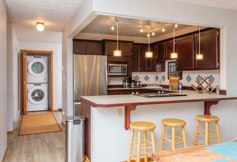 شقة غرفة واحدة, Timberline 208