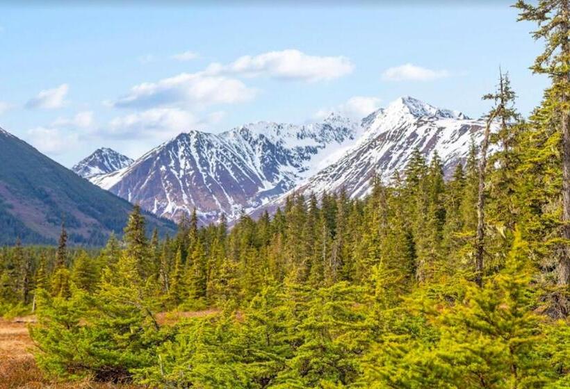 شقة غرفة واحدة, Timberline 208