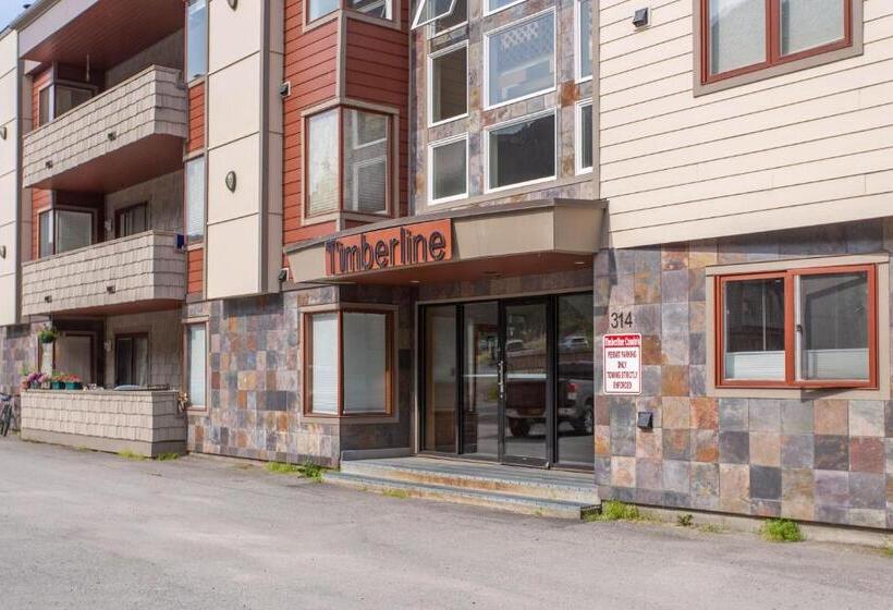 شقة غرفة واحدة, Timberline 208