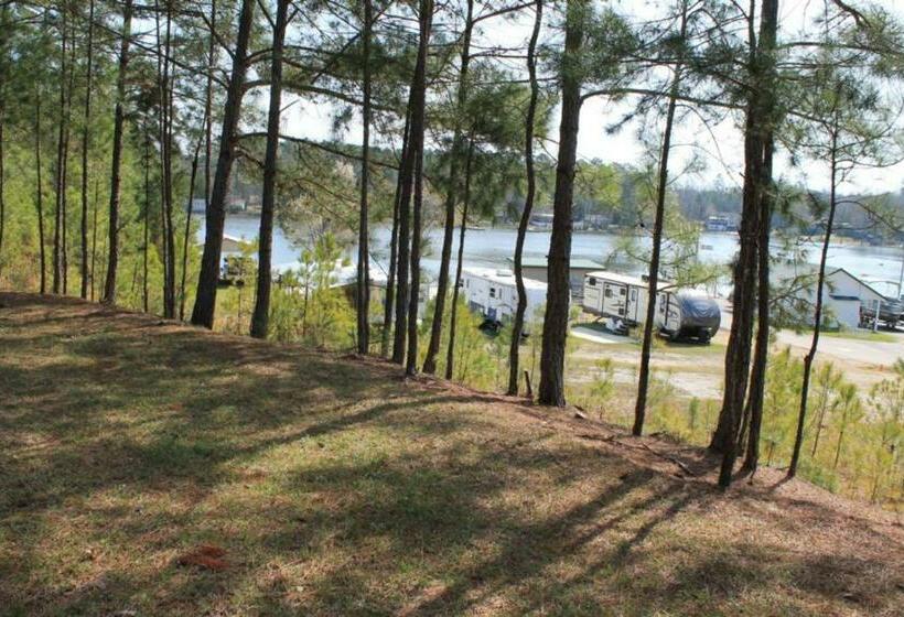 标准工作室, Acapulco S Hideaway