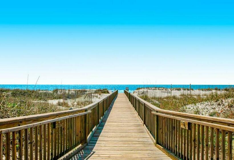 דירת שני חדרים, Fiddlers Cove 19e