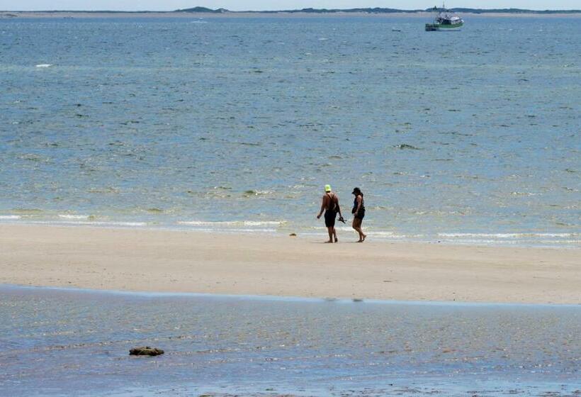 آپارتمان 1 خوابه, Provincetown Perfection