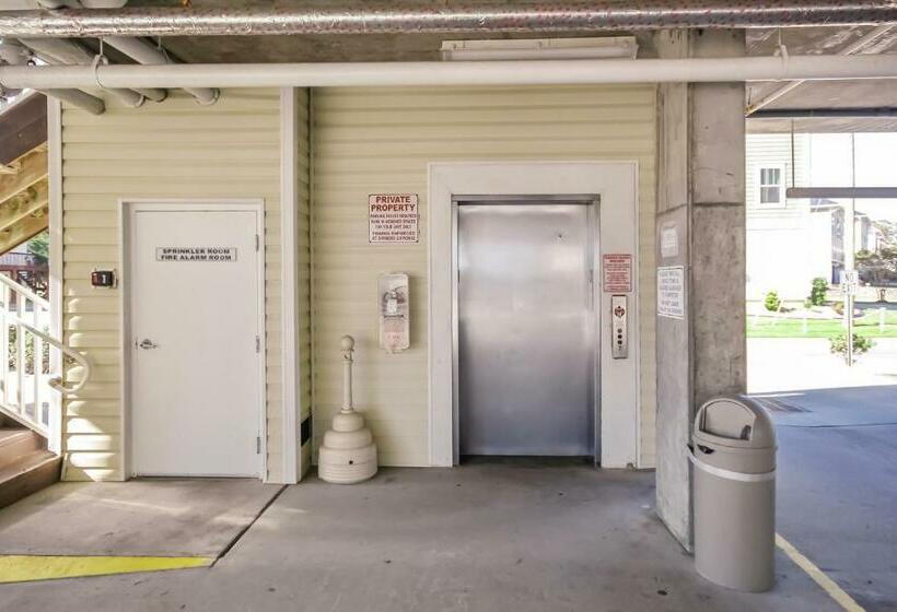 침실 1개 아파트, Coconut Grove 203