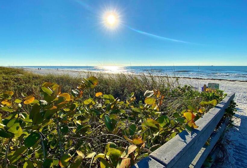 شقة غرفتين, Beachside Villas 204b