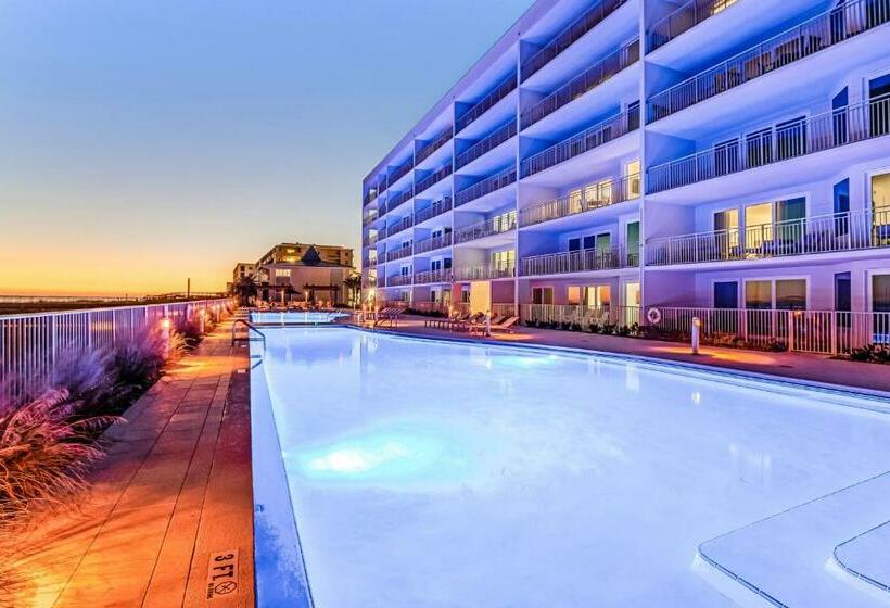 شقة غرفة واحدة, Blu Condos 301