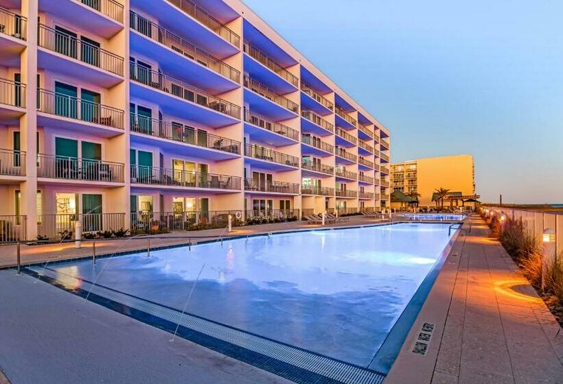 شقة غرفة واحدة, Blu Condos 301