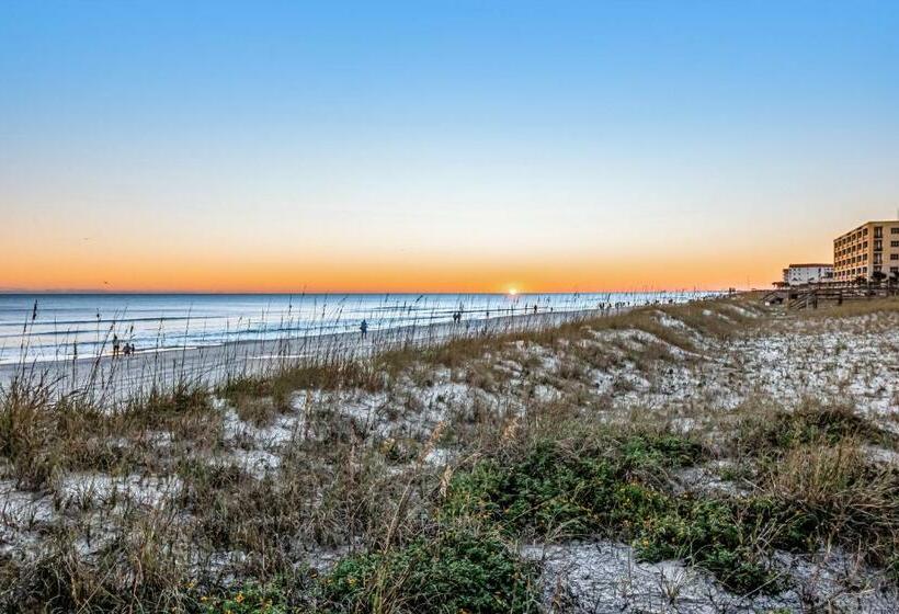 شقة غرفة واحدة, Blu Condos 301