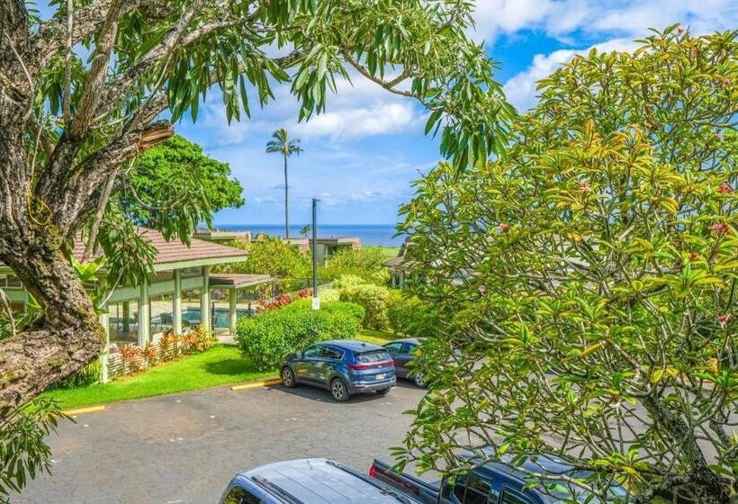 דירת שני חדרים, Puamana 9b