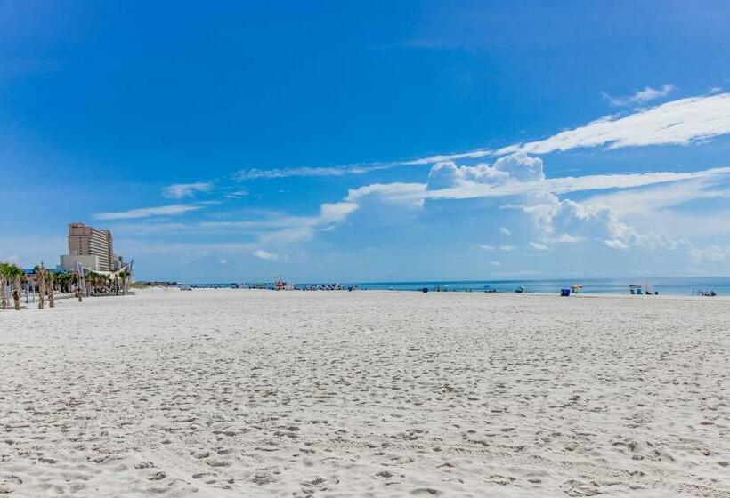 استودیوی استاندارد, Beachview 321