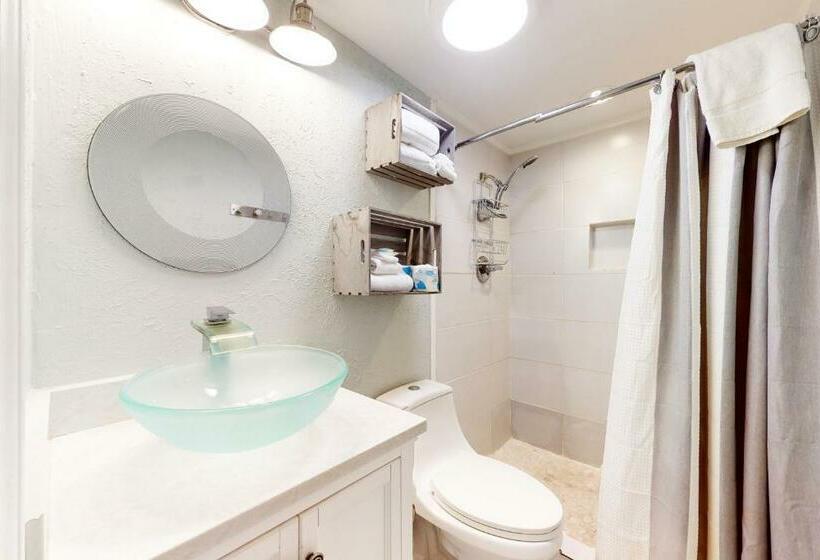 استودیوی استاندارد, Beachview 321