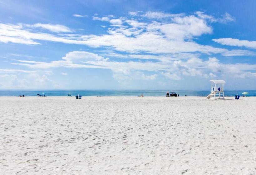 استودیوی استاندارد, Beachview 321