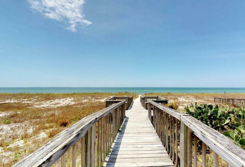 شقة 3 غرف, Brown Eyed Girl