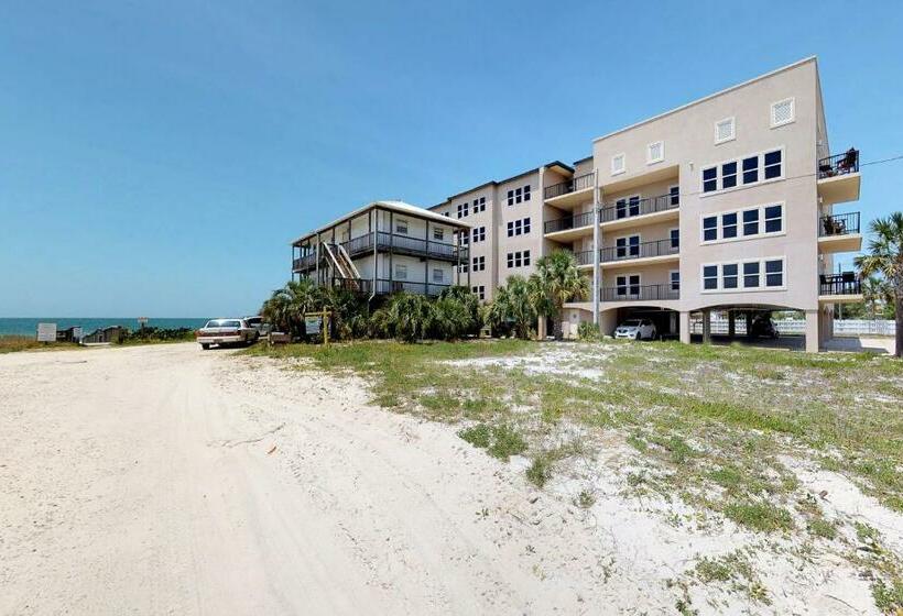 شقة 3 غرف, Brown Eyed Girl