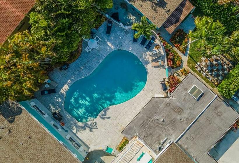 标准工作室, The Cottage