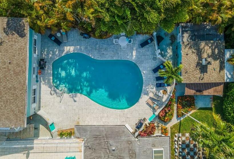 标准工作室, The Cottage