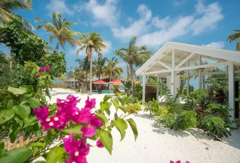ویلای یک اتاق خوابه با استخر شنا, Oaga Art Resort Maldives   Greatest All Inclusive