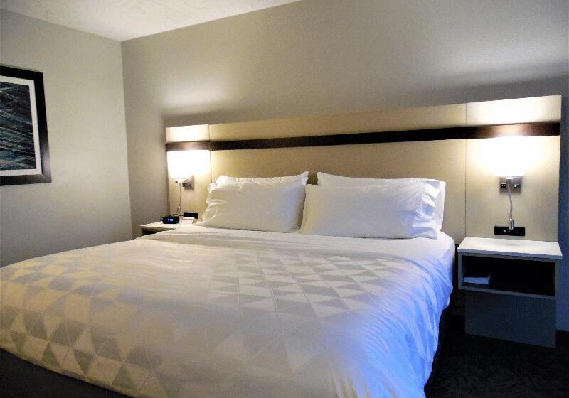 스탠다드 룸 킹사이즈 침대, Holiday Inn Bloomington Normal, An Ihg