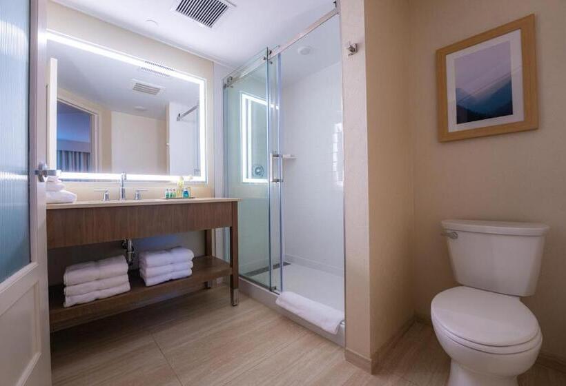 Номер Deluxe, Mohegan Pennsylvania Adults Only