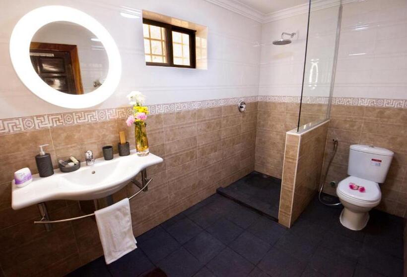 غرفة سوبيريور, Villa Grange