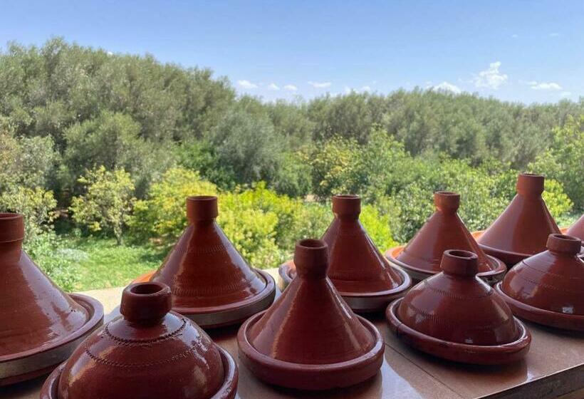 디럭스 룸, Gite Boukhalfa