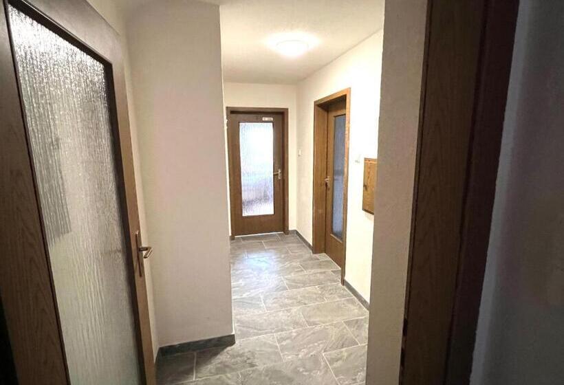 Номер Deluxe Одноместный, Gästehaus Schwabach
