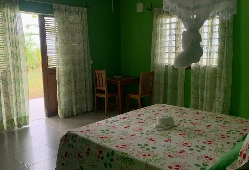 اتاق استاندارد با تخت بزرگ, Nosy Bay View