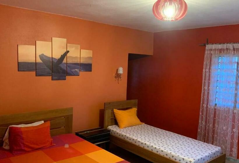 اتاق استاندارد سه نفره, Nosy Bay View