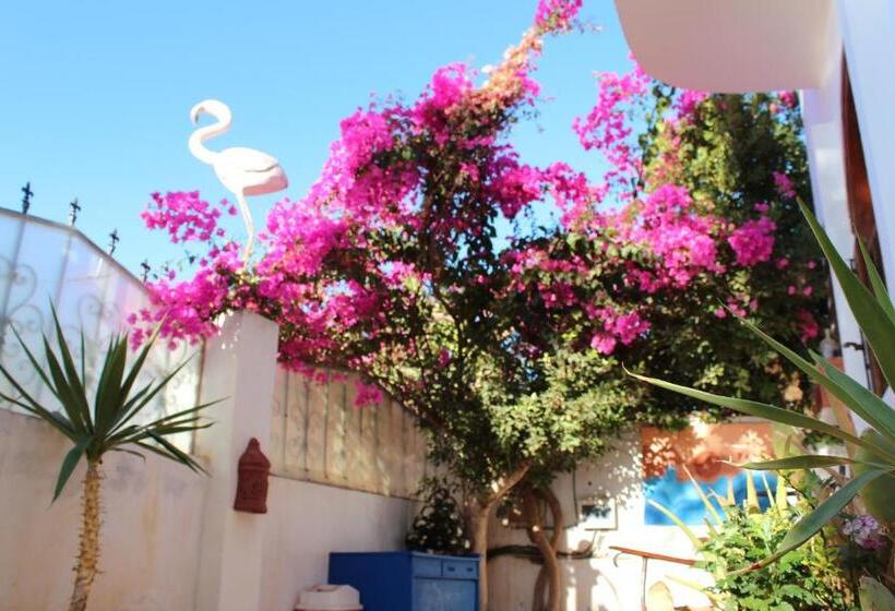 استودیو استاندارد با تخت کینگ, Villa Andalusia Dahab Blue