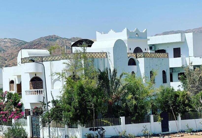 استودیو استاندارد با تخت کینگ, Villa Andalusia Dahab Blue