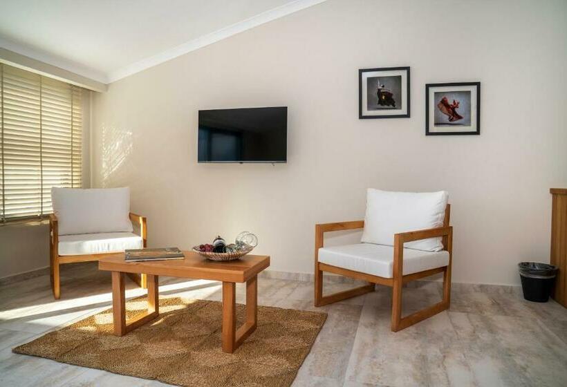 디럭스 스위트 바다 전망, Ansira Fethiye