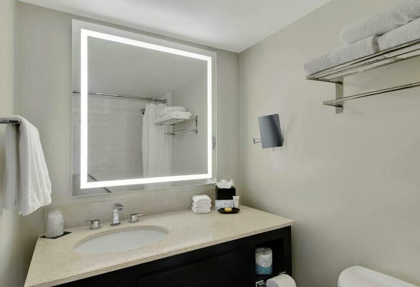 غرفة قياسية مطلّة علي النهر, Tampa Riverwalk