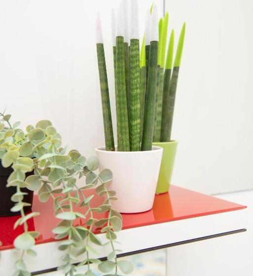 דירת חדר, Luigi S Panoramic And Economy Room Near Sorrento