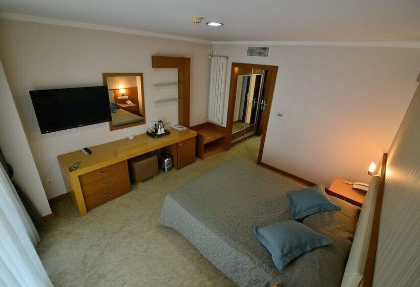 اتاق لوکس یک تخته, Buyuk Anadolu Eregli