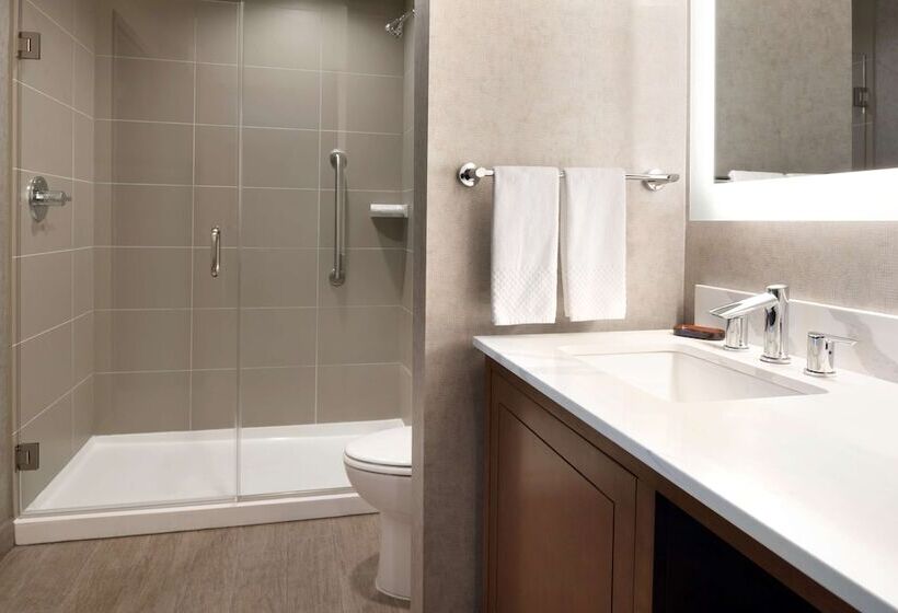 جناح, Embassy Suites By Hilton Chicago Naperville