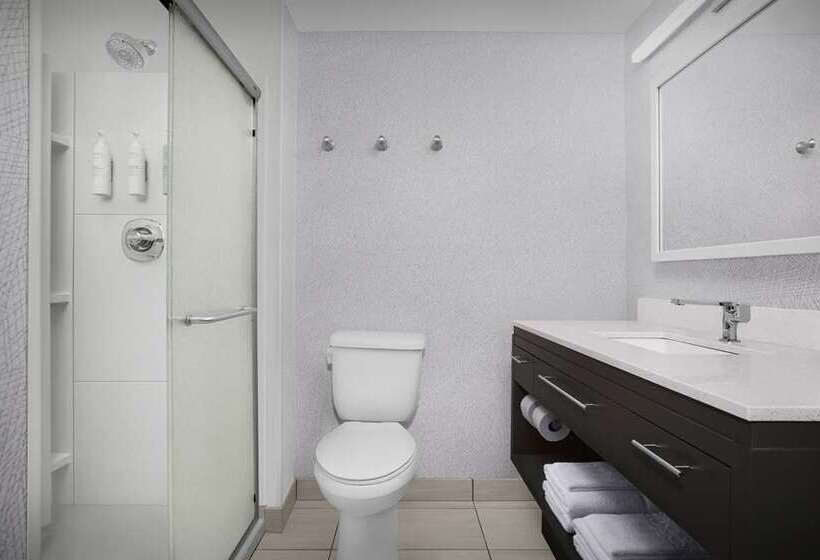 جناح سرير كينج, Embassy Suites By Hilton Chicago Naperville