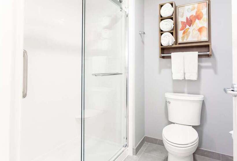 جناح سرير كينج, Embassy Suites By Hilton Chicago Naperville