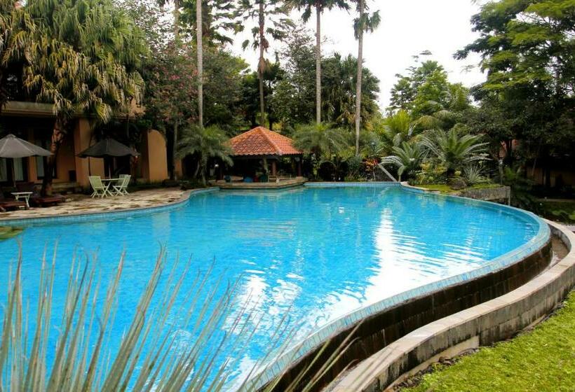 高级大房间, Laras Asri Resort & Spa