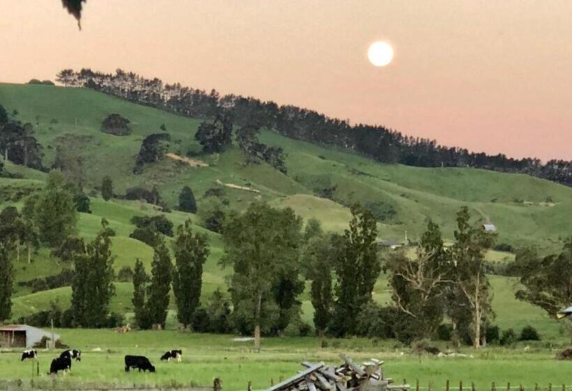 디럭스 룸, Ballygelvar