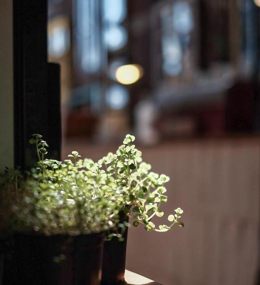 חדר סטנדרט, & Café Bauda